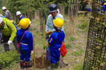 植林の方法を熱心に聞く小学生